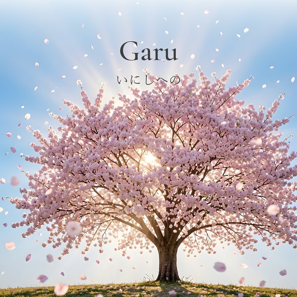 八重桜 ジャケット